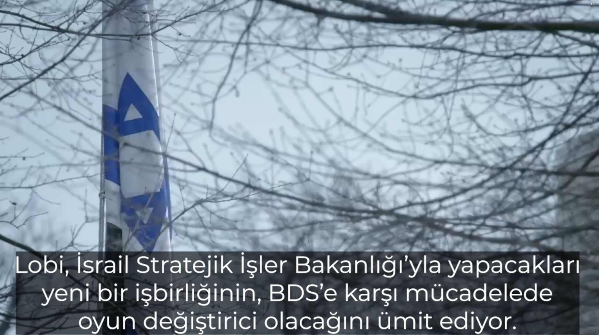 Lobi Belgeseli