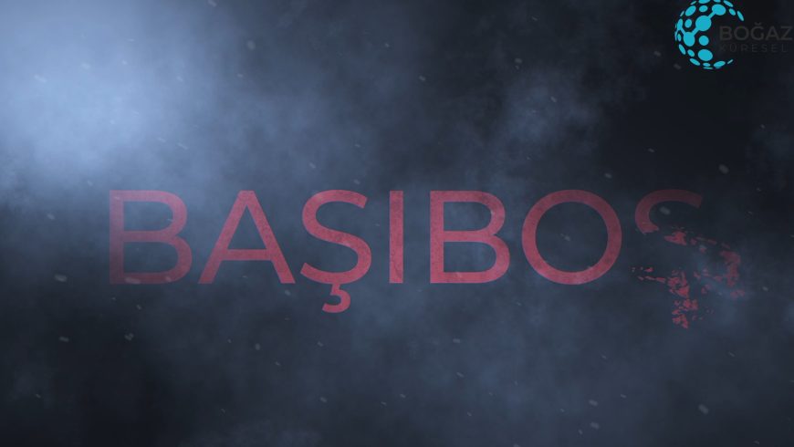BAŞIBOŞ KÖPEKLER